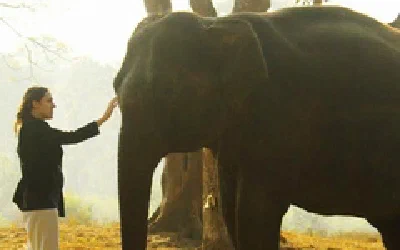 Karnataka & Tamil Nadu