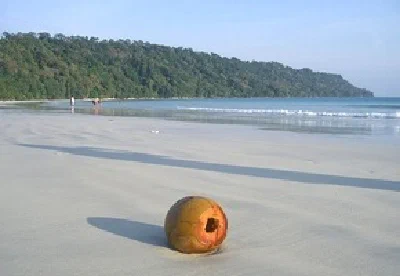 Andaman & Nicobar