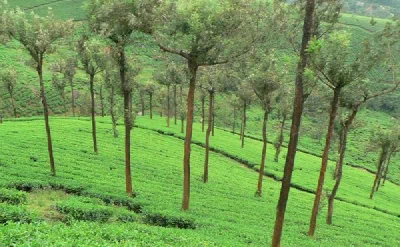 Munnar