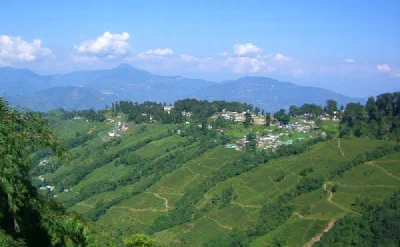Darjeeling