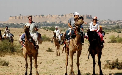 Camel Safari