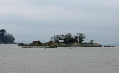 Kaziranga National Park