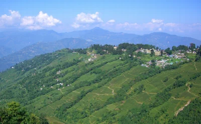 Kurseong & Darjeeling