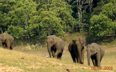 South Indian Highlights